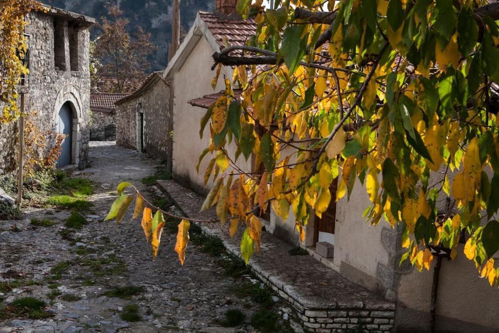 Bezeniko Amazing Arcadian Property! Vlacherna المظهر الخارجي الصورة